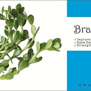 Brahmi Leaves Powder (Bacopa Monnieri) for Brain Memory Support, Hair Growth (No Side Effects, Preservative Free) (100 Gram,Pack of 1). - Image 5