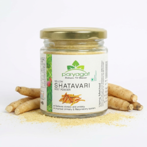 Yellow Shatavari Root Powder I Asparagus racemosus I 100 gm