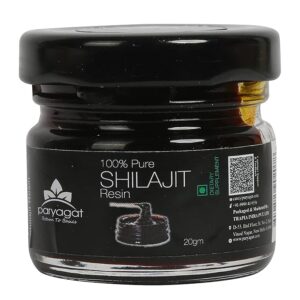 Pure Ayurvedic Raw Shilajit Resins 20gm