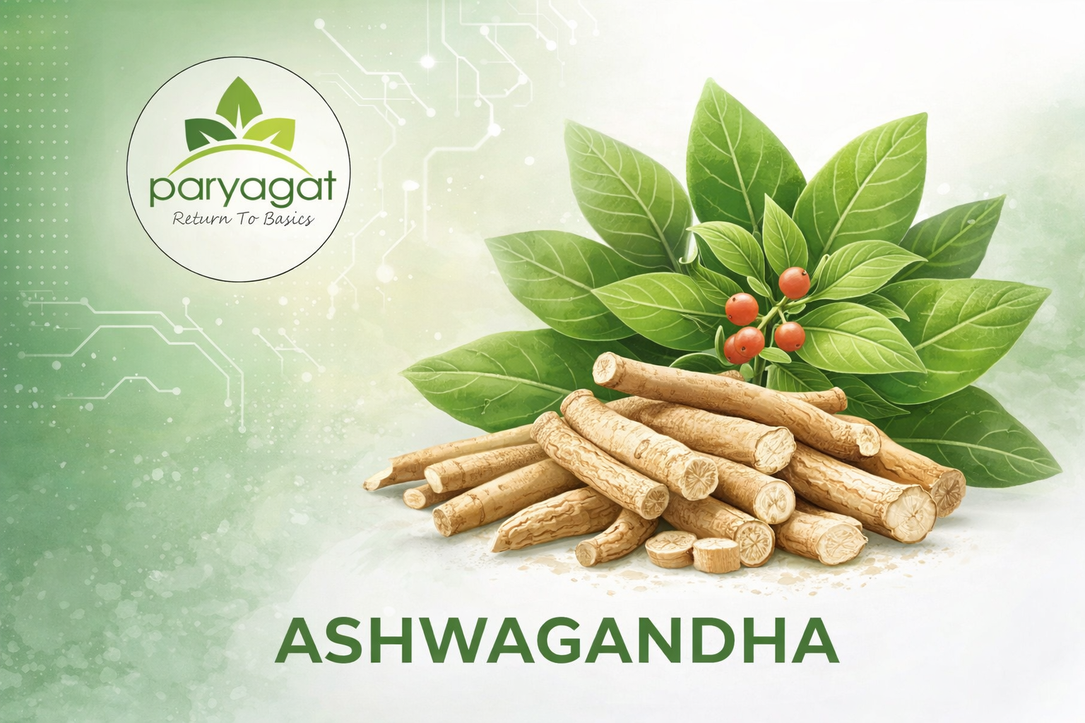 Ashwagandha