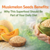 Muskmelon Seeds Benefits: Why This Superfood Should Be Part of Your Daily Diet