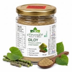 Giloy Powder i Immunity Boost I Detox & Daily Wellness i Vitality & Health Support I Guduchi I Strengthens Immunity Wellness I 100 gm