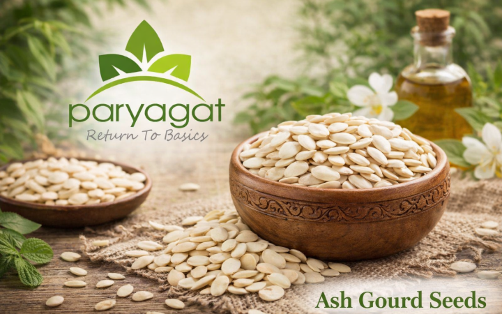 Ash gourd seeds in earthy setting