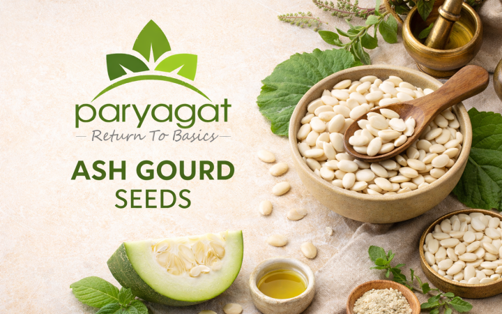 Ash gaourd Seeds