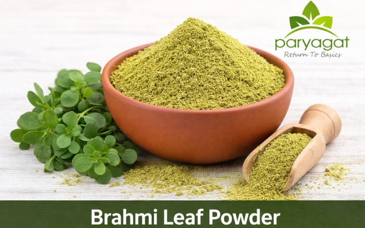 ChatGPT Image Jan 21, 2026, 12_50_46 PM