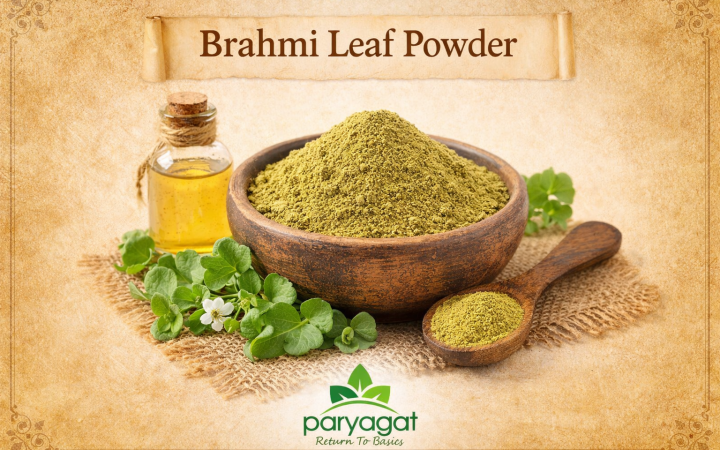 ChatGPT Image Jan 21, 2026, 12_54_27 PM