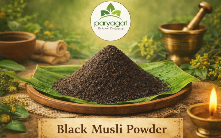 ChatGPT Image Jan 23, 2026, 01_36_45 PM