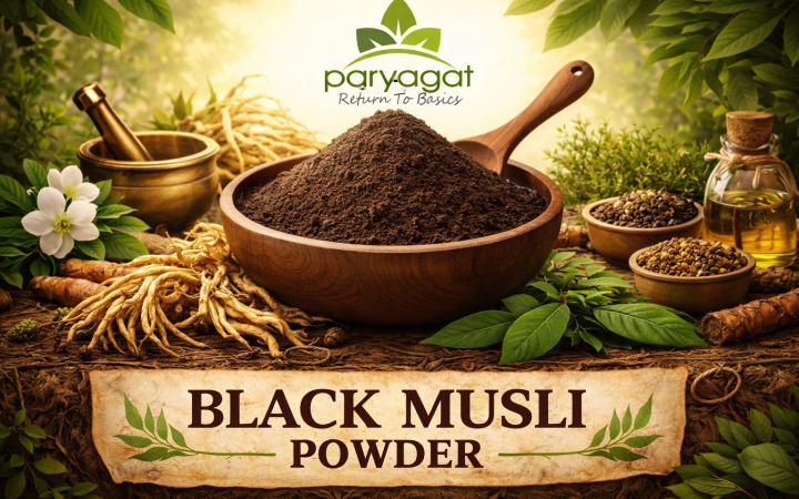 ChatGPT Image Jan 23, 2026, 12_38_56 PM