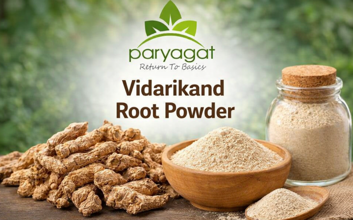 ChatGPT Image Jan 24, 2026, 12_29_40 PM