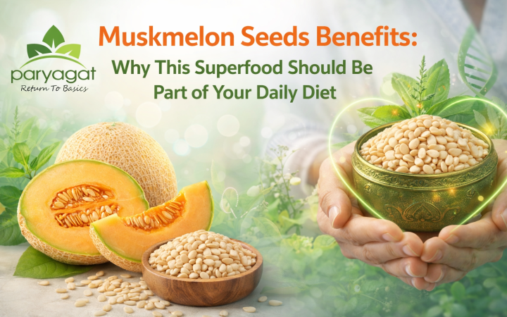 Muskmelon Seeds Benefits: Why This Superfood Should Be Part of Your Daily Diet