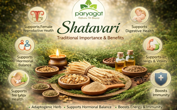 Image shown Why Shatavari is Called the Queen of Herbs in Ayurveda