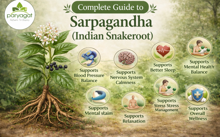 Image shown Complete Guide to Sarpagandha (Indian Snakeroot): Uses, Benefits, and Precautions