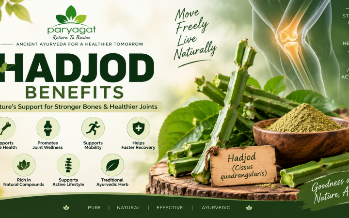 Hadjod Benefits