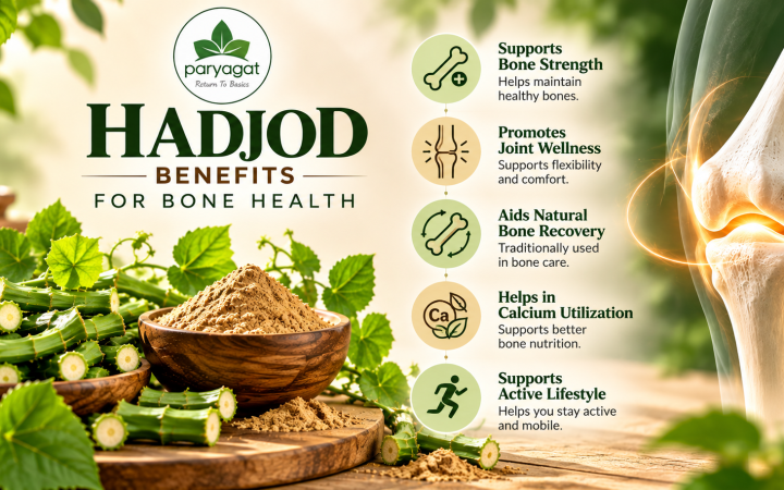 Hadjod Benefits for Bone Health