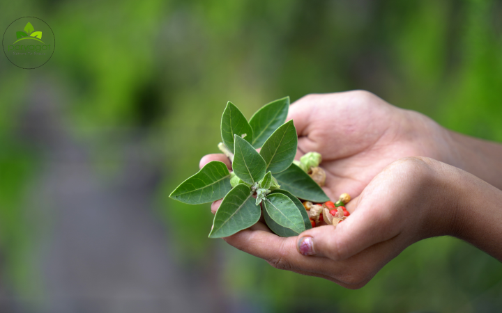 Industry Leading Accuracy (6)