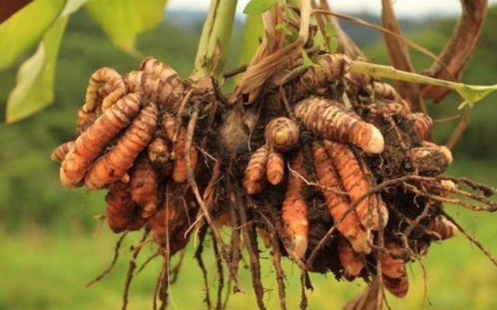 Untitled design - 2025-12-01T125536.440