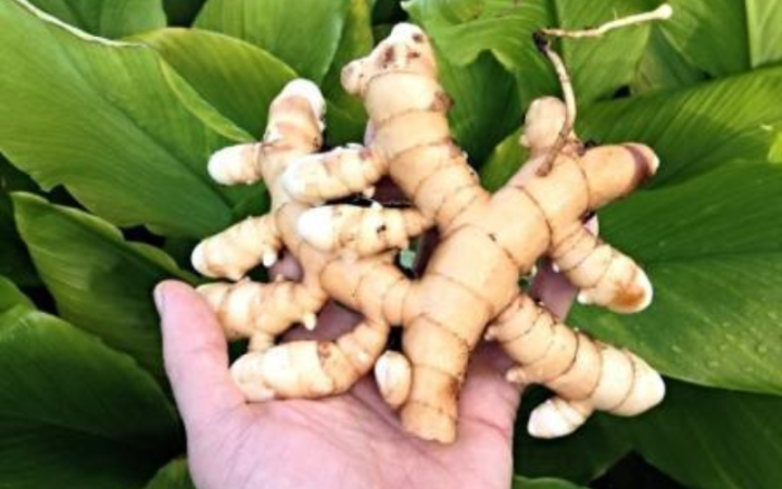 Untitled design - 2025-12-02T200837.827