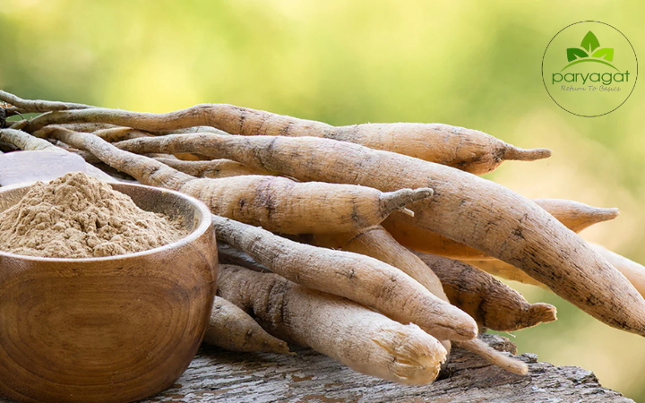 Untitled design - 2026-01-27T194223.322